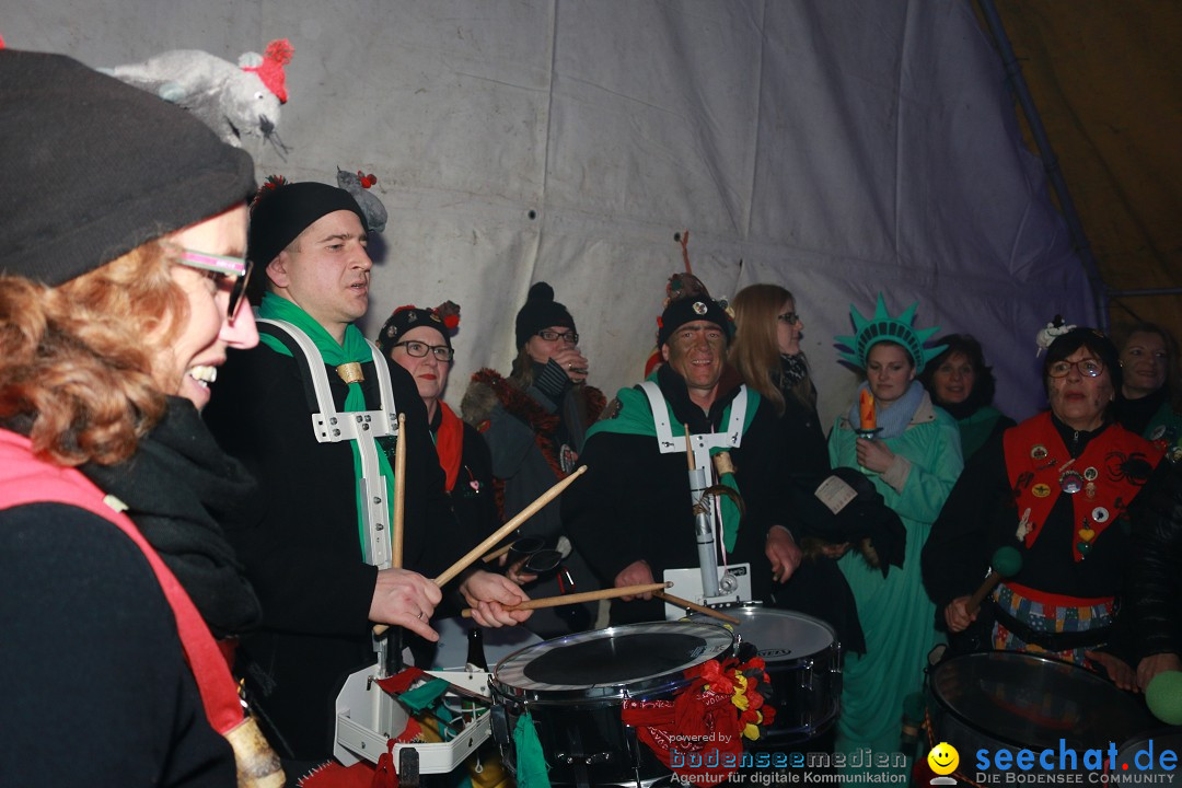 HoTaBo-Narro Umzug und Party: Hohenbodman am Bodensee, 21.01.2017