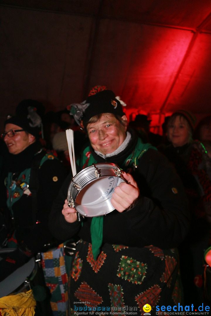 HoTaBo-Narro Umzug und Party: Hohenbodman am Bodensee, 21.01.2017