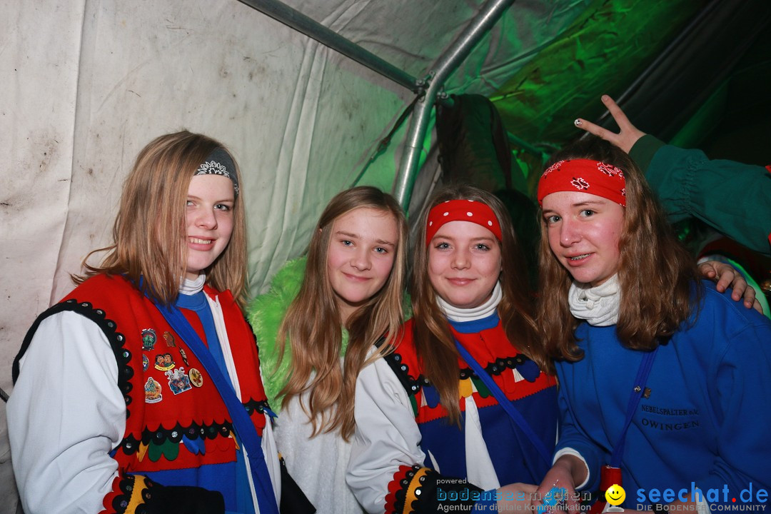 HoTaBo-Narro Umzug und Party: Hohenbodman am Bodensee, 21.01.2017
