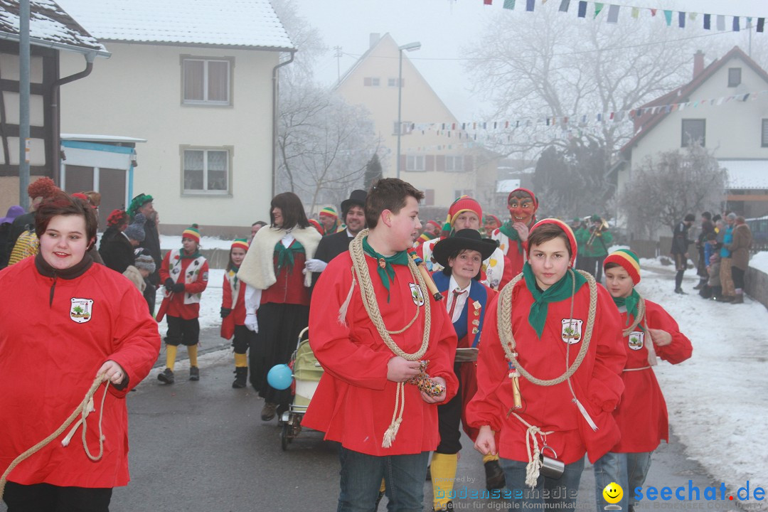 HoTaBo-Narro Umzug und Party: Hohenbodman am Bodensee, 21.01.2017