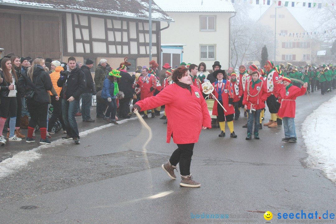 HoTaBo-Narro Umzug und Party: Hohenbodman am Bodensee, 21.01.2017