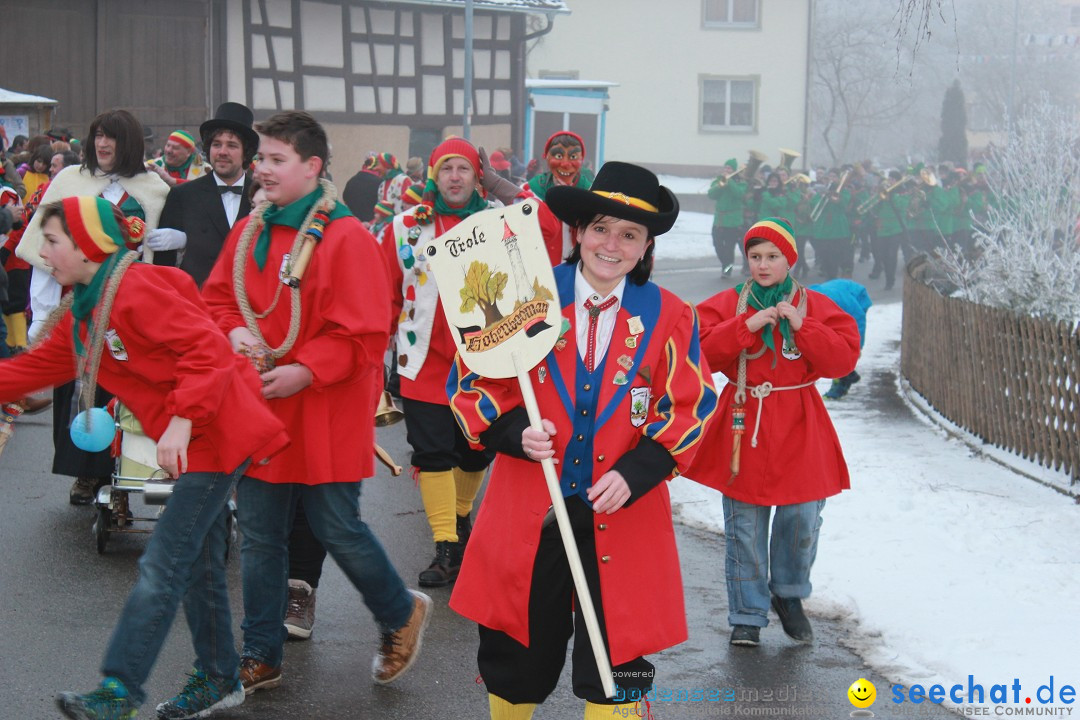 HoTaBo-Narro Umzug und Party: Hohenbodman am Bodensee, 21.01.2017