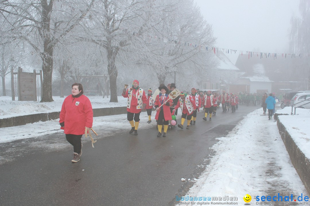 HoTaBo-Narro Umzug und Party: Hohenbodman am Bodensee, 21.01.2017