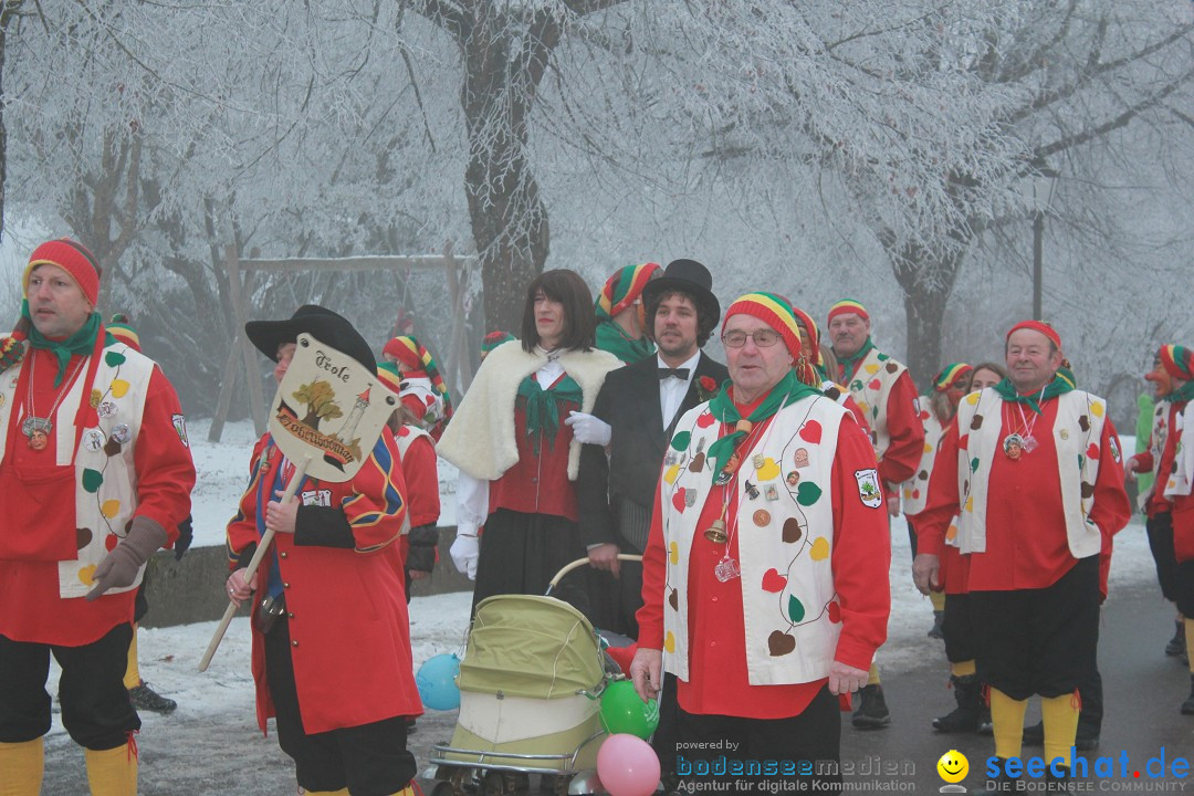 HoTaBo-Narro Umzug und Party: Hohenbodman am Bodensee, 21.01.2017