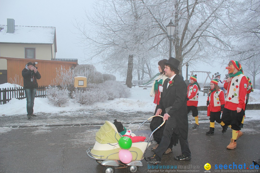HoTaBo-Narro Umzug und Party: Hohenbodman am Bodensee, 21.01.2017