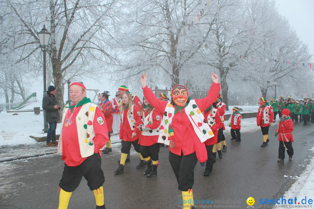 HoTaBo-Narro Umzug und Party: Hohenbodman am Bodensee, 21.01.2017