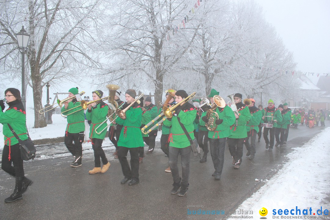 HoTaBo-Narro Umzug und Party: Hohenbodman am Bodensee, 21.01.2017