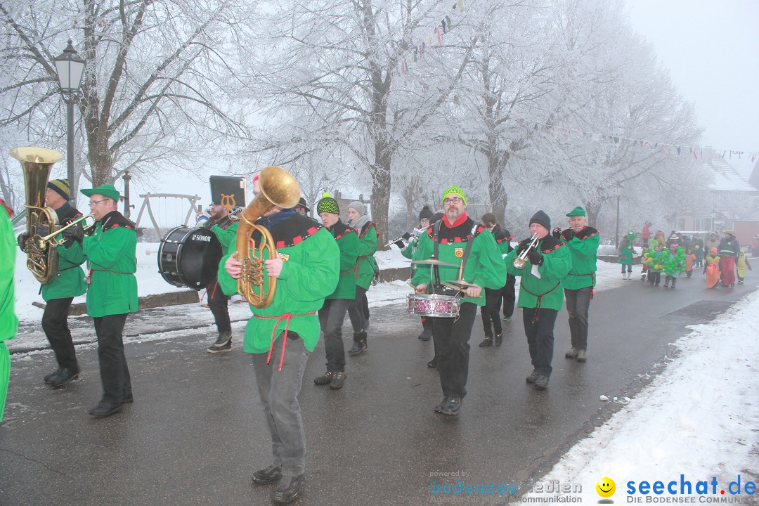 HoTaBo-Narro Umzug und Party: Hohenbodman am Bodensee, 21.01.2017