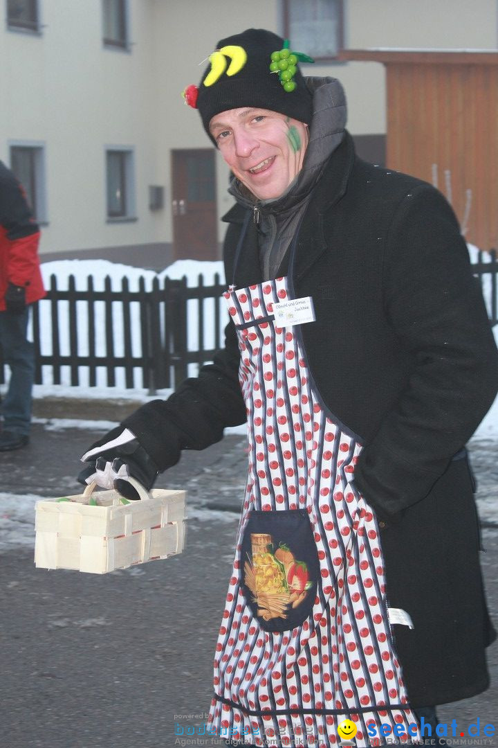 HoTaBo-Narro Umzug und Party: Hohenbodman am Bodensee, 21.01.2017