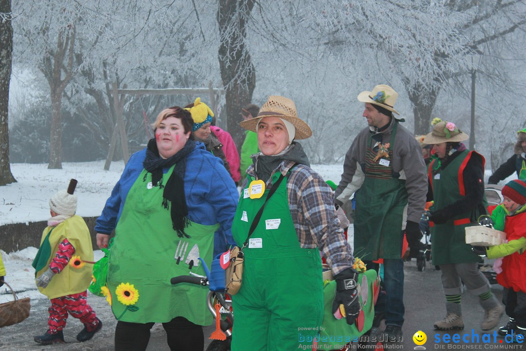 HoTaBo-Narro Umzug und Party: Hohenbodman am Bodensee, 21.01.2017
