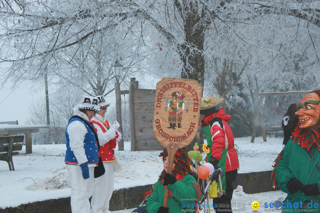 HoTaBo-Narro Umzug und Party: Hohenbodman am Bodensee, 21.01.2017