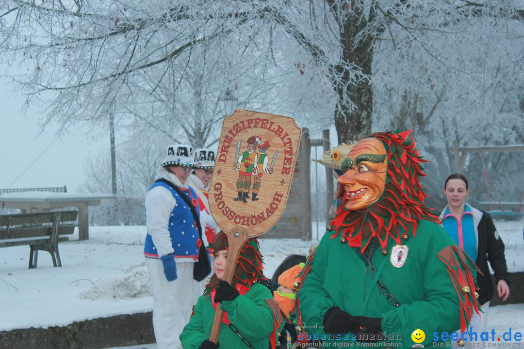 HoTaBo-Narro Umzug und Party: Hohenbodman am Bodensee, 21.01.2017