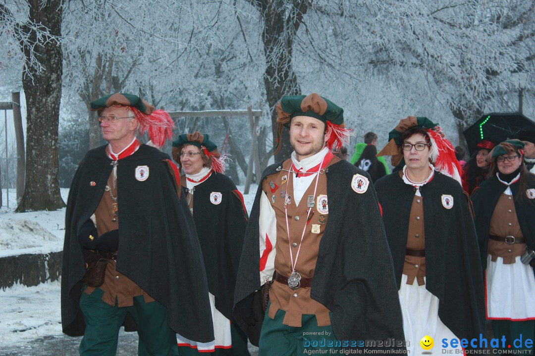 HoTaBo-Narro Umzug und Party: Hohenbodman am Bodensee, 21.01.2017