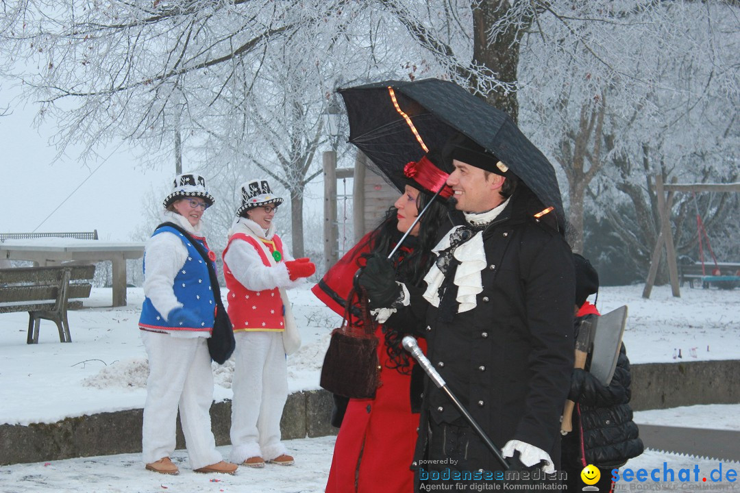 HoTaBo-Narro Umzug und Party: Hohenbodman am Bodensee, 21.01.2017