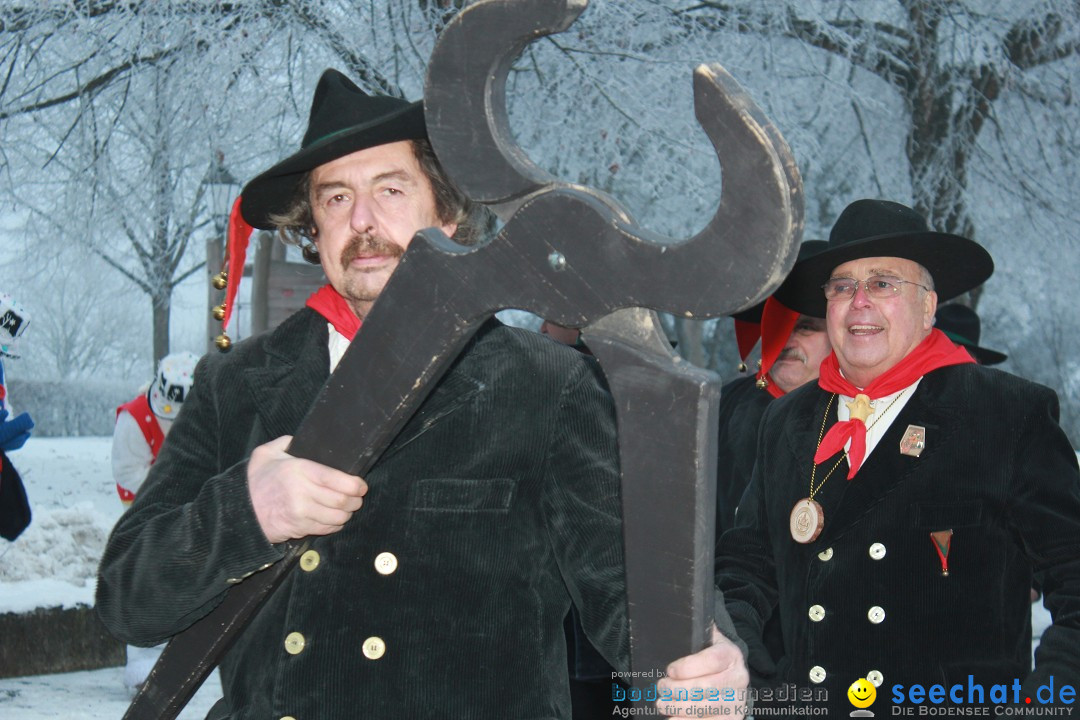 HoTaBo-Narro Umzug und Party: Hohenbodman am Bodensee, 21.01.2017