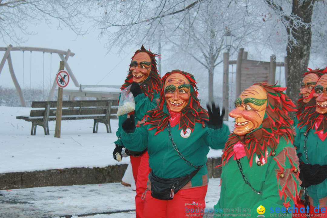 HoTaBo-Narro Umzug und Party: Hohenbodman am Bodensee, 21.01.2017