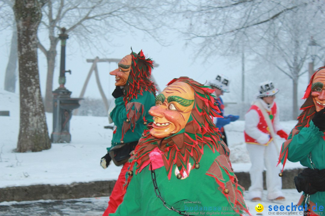 HoTaBo-Narro Umzug und Party: Hohenbodman am Bodensee, 21.01.2017