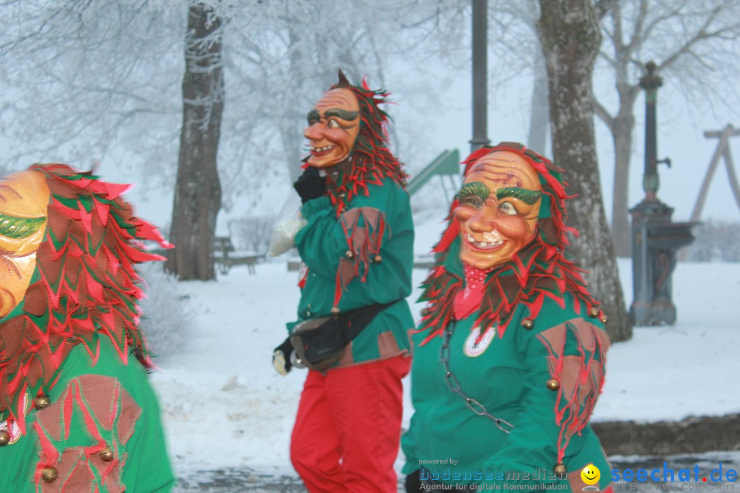 HoTaBo-Narro Umzug und Party: Hohenbodman am Bodensee, 21.01.2017