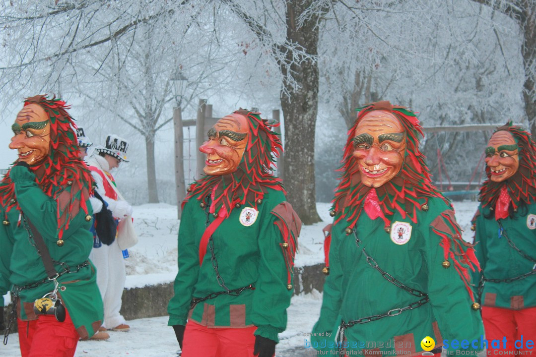 HoTaBo-Narro Umzug und Party: Hohenbodman am Bodensee, 21.01.2017