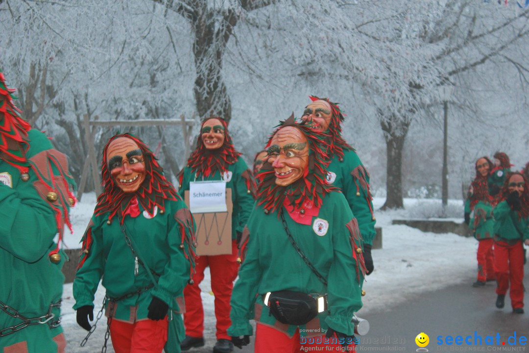HoTaBo-Narro Umzug und Party: Hohenbodman am Bodensee, 21.01.2017