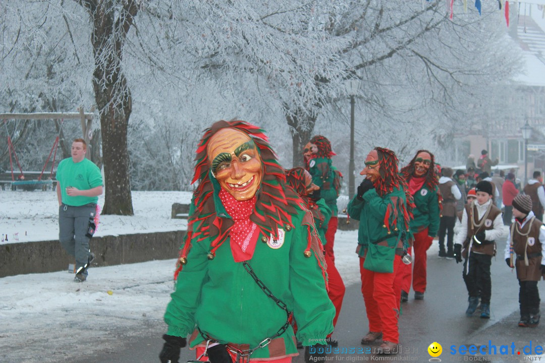 HoTaBo-Narro Umzug und Party: Hohenbodman am Bodensee, 21.01.2017