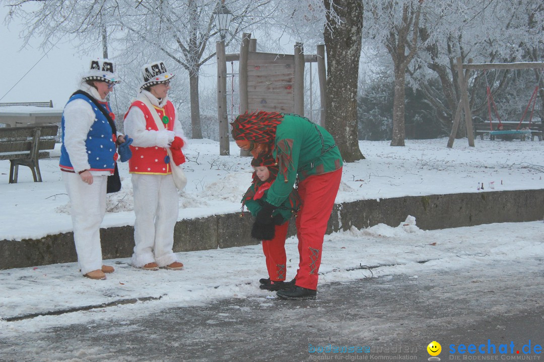 HoTaBo-Narro Umzug und Party: Hohenbodman am Bodensee, 21.01.2017