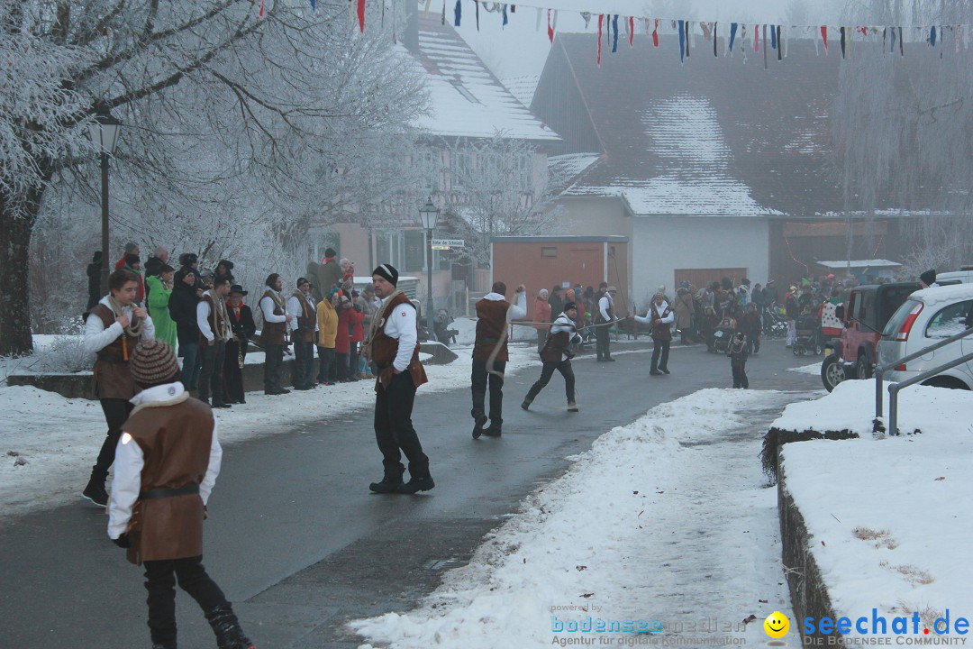 HoTaBo-Narro Umzug und Party: Hohenbodman am Bodensee, 21.01.2017
