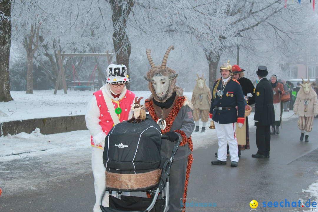 HoTaBo-Narro Umzug und Party: Hohenbodman am Bodensee, 21.01.2017