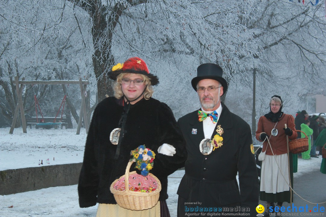 HoTaBo-Narro Umzug und Party: Hohenbodman am Bodensee, 21.01.2017