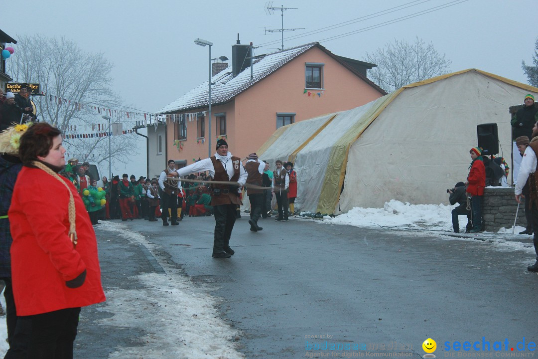 HoTaBo-Narro Umzug und Party: Hohenbodman am Bodensee, 21.01.2017