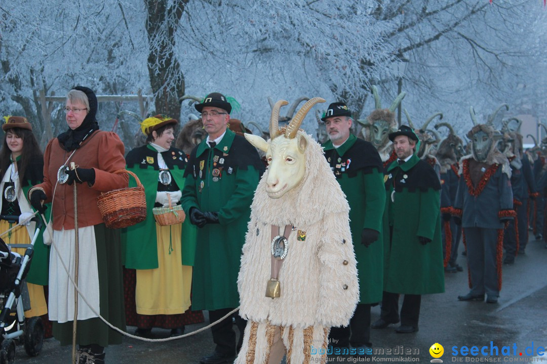 HoTaBo-Narro Umzug und Party: Hohenbodman am Bodensee, 21.01.2017