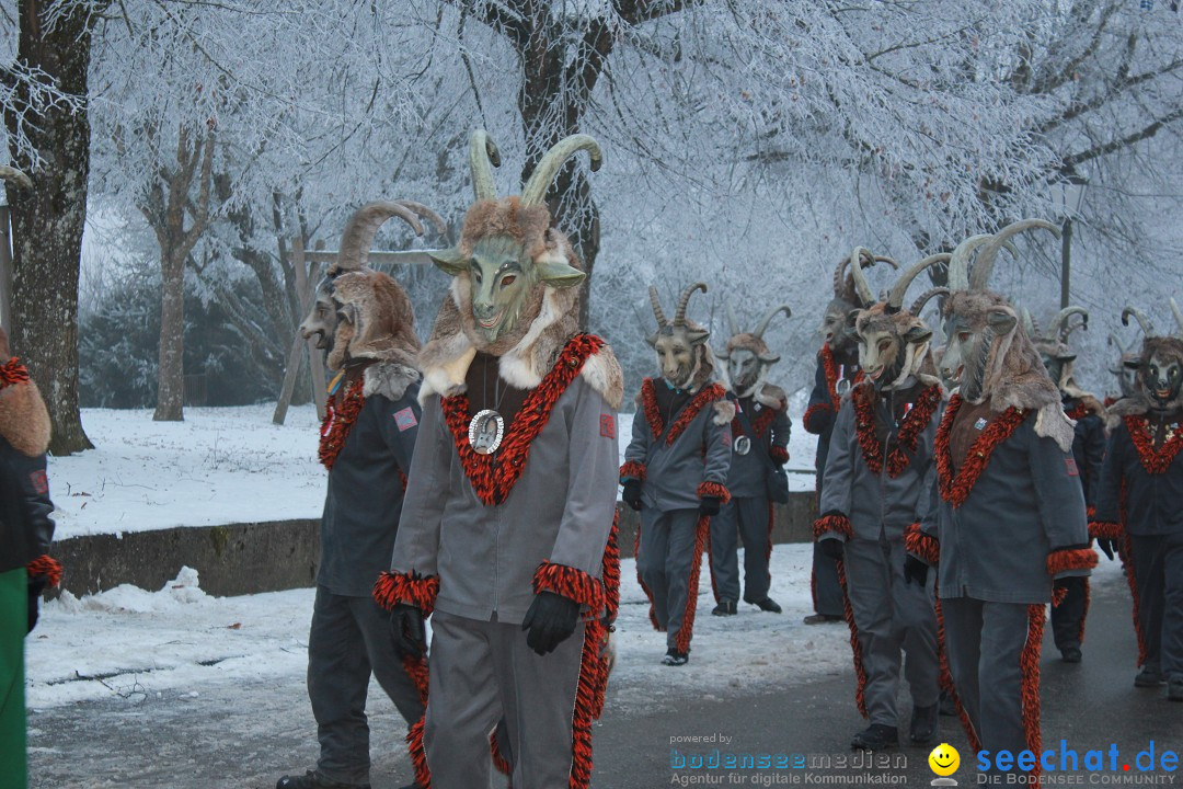 HoTaBo-Narro Umzug und Party: Hohenbodman am Bodensee, 21.01.2017