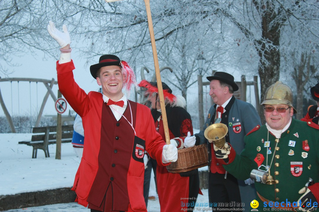 HoTaBo-Narro Umzug und Party: Hohenbodman am Bodensee, 21.01.2017