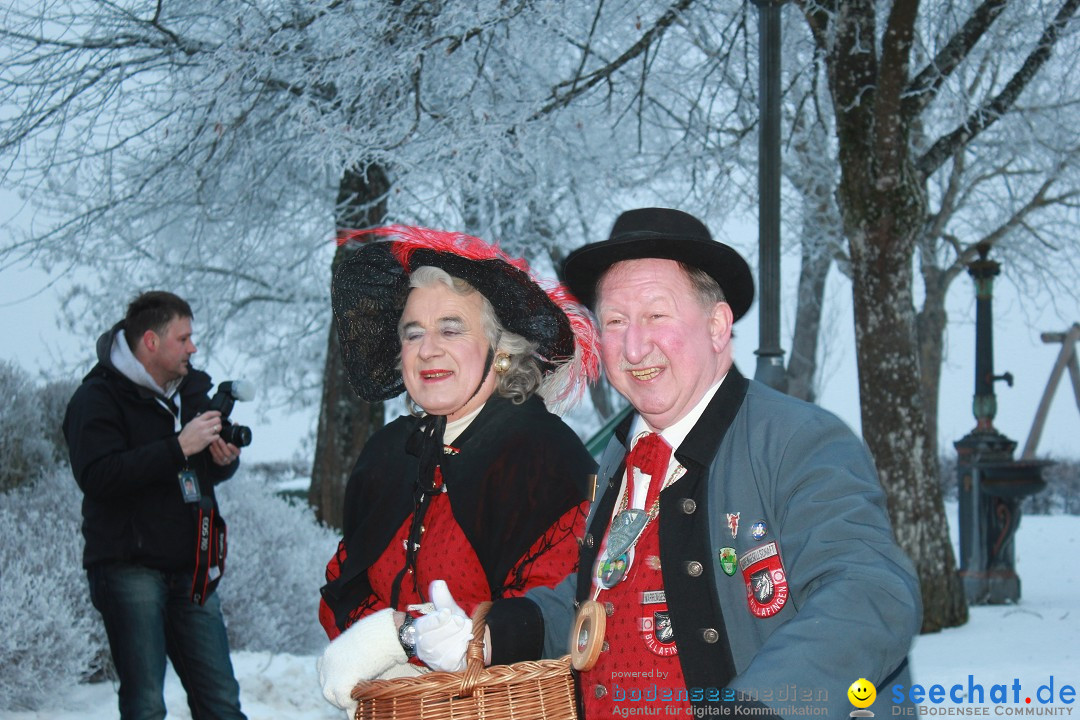HoTaBo-Narro Umzug und Party: Hohenbodman am Bodensee, 21.01.2017