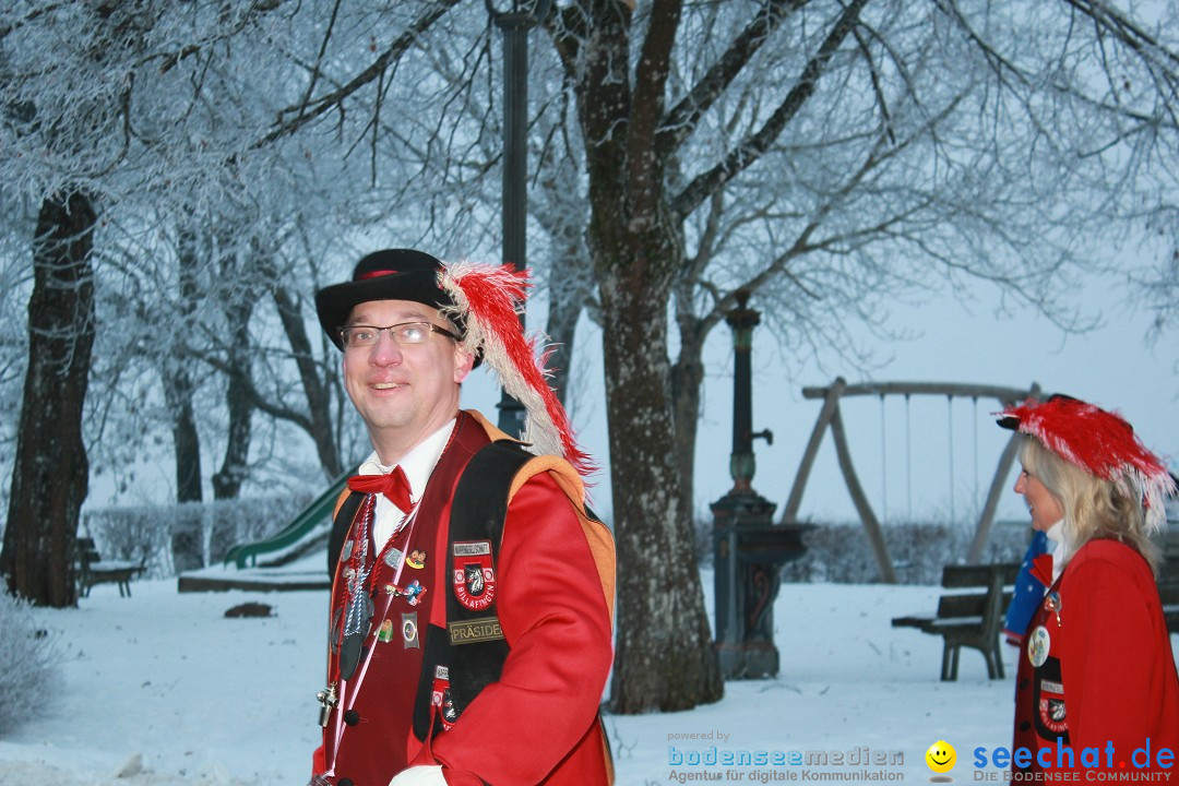 HoTaBo-Narro Umzug und Party: Hohenbodman am Bodensee, 21.01.2017
