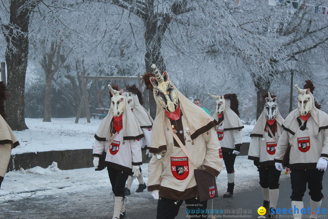 HoTaBo-Narro Umzug und Party: Hohenbodman am Bodensee, 21.01.2017