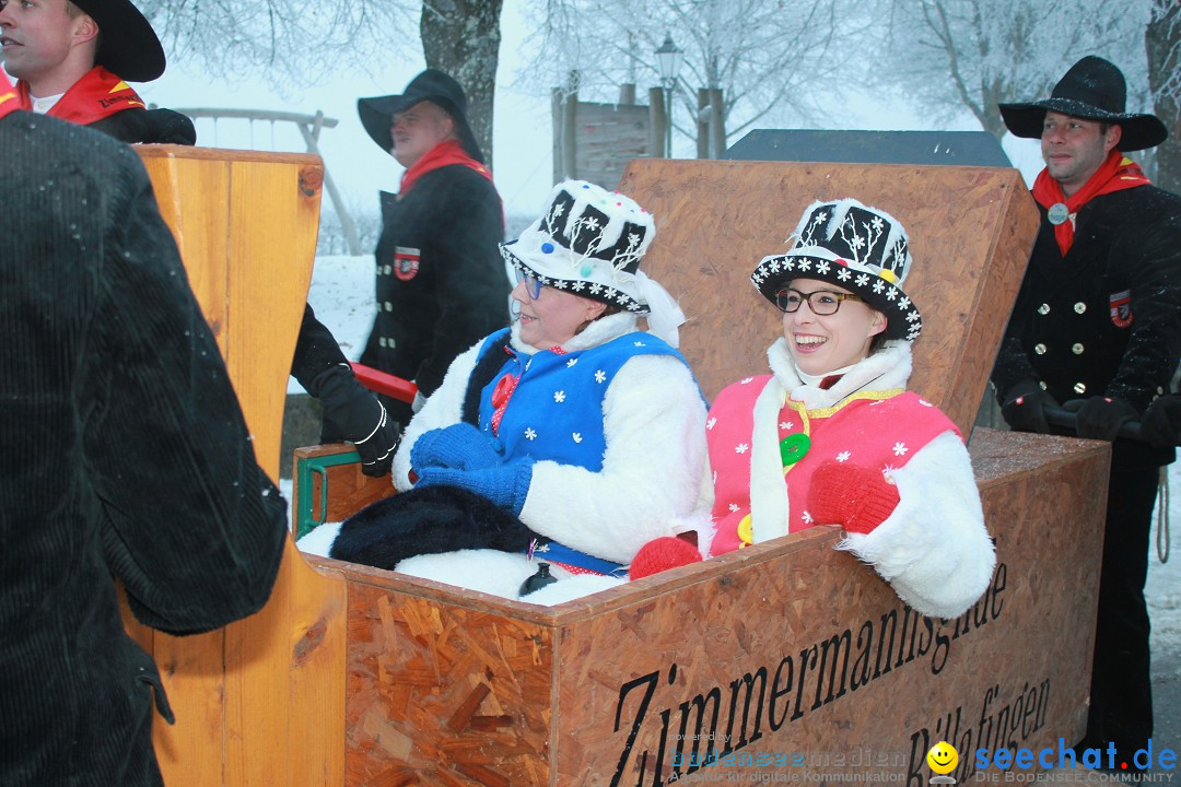 HoTaBo-Narro Umzug und Party: Hohenbodman am Bodensee, 21.01.2017