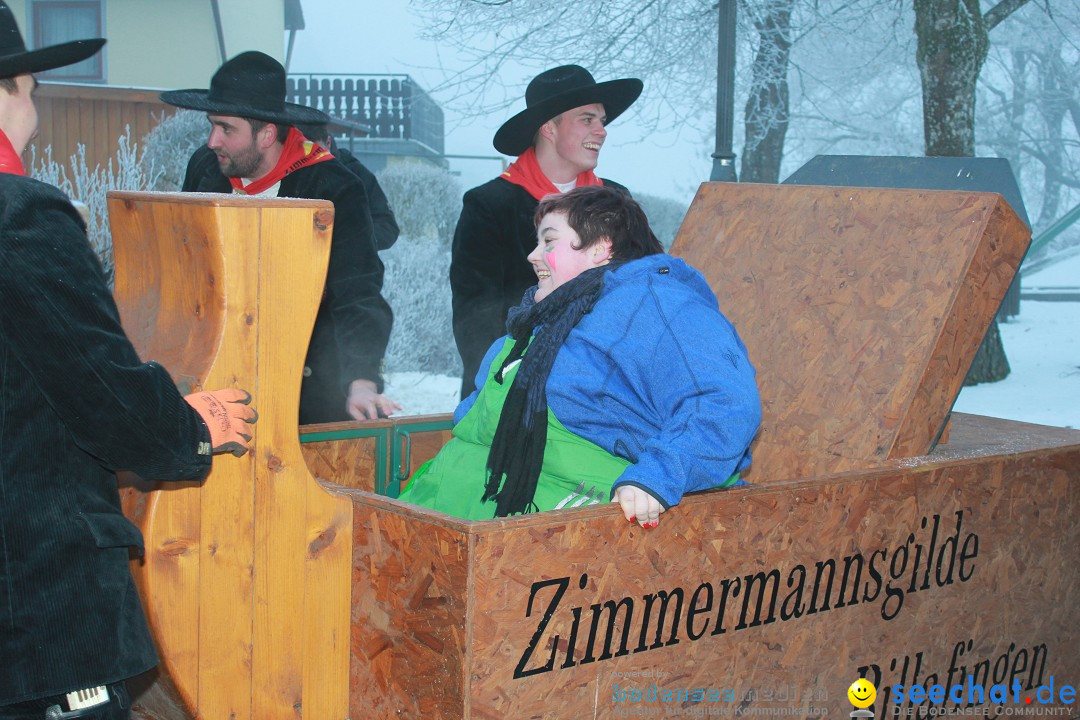 HoTaBo-Narro Umzug und Party: Hohenbodman am Bodensee, 21.01.2017