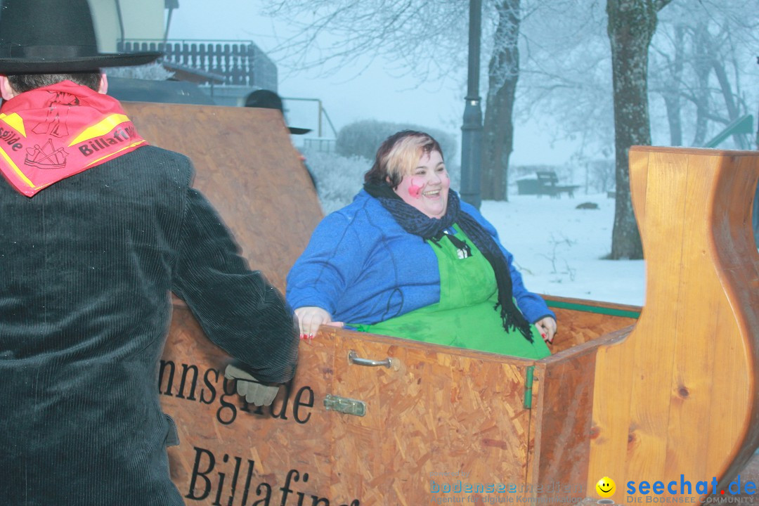 HoTaBo-Narro Umzug und Party: Hohenbodman am Bodensee, 21.01.2017