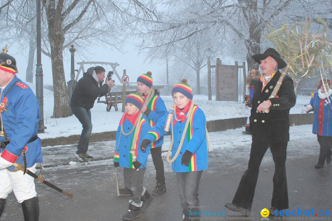 HoTaBo-Narro Umzug und Party: Hohenbodman am Bodensee, 21.01.2017