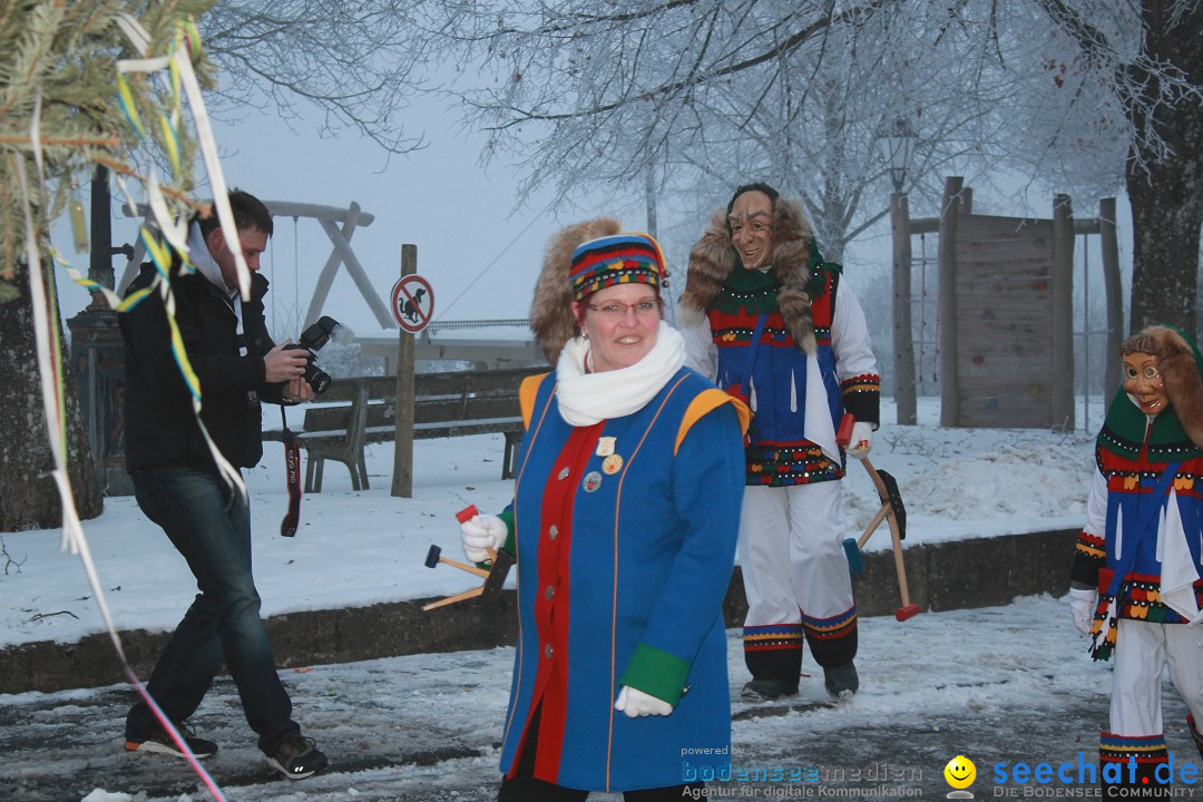 HoTaBo-Narro Umzug und Party: Hohenbodman am Bodensee, 21.01.2017