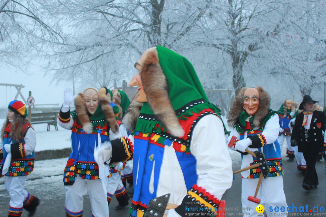 HoTaBo-Narro Umzug und Party: Hohenbodman am Bodensee, 21.01.2017