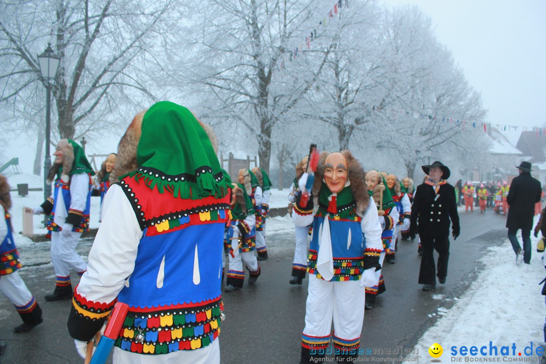 HoTaBo-Narro Umzug und Party: Hohenbodman am Bodensee, 21.01.2017