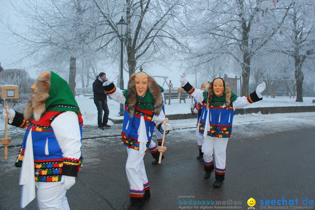 HoTaBo-Narro Umzug und Party: Hohenbodman am Bodensee, 21.01.2017