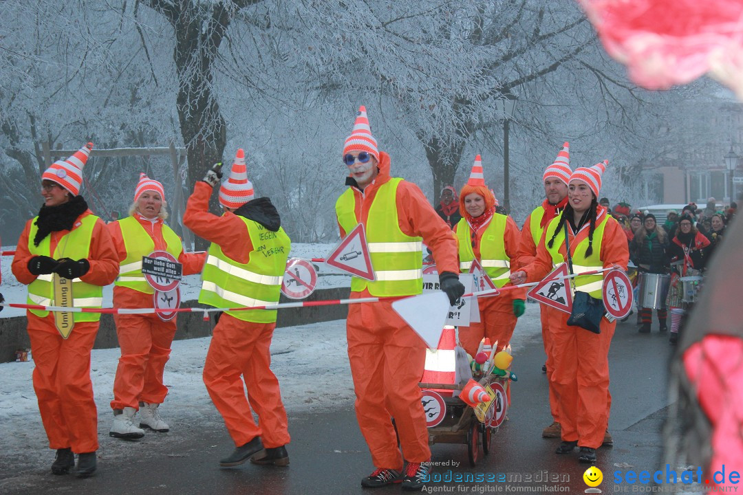 HoTaBo-Narro Umzug und Party: Hohenbodman am Bodensee, 21.01.2017