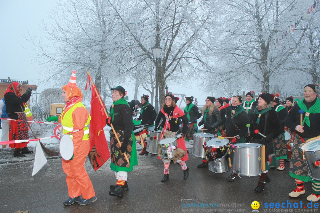HoTaBo-Narro Umzug und Party: Hohenbodman am Bodensee, 21.01.2017