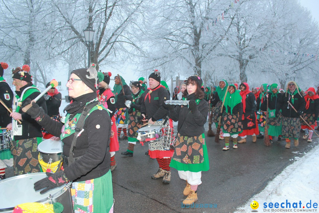 HoTaBo-Narro Umzug und Party: Hohenbodman am Bodensee, 21.01.2017