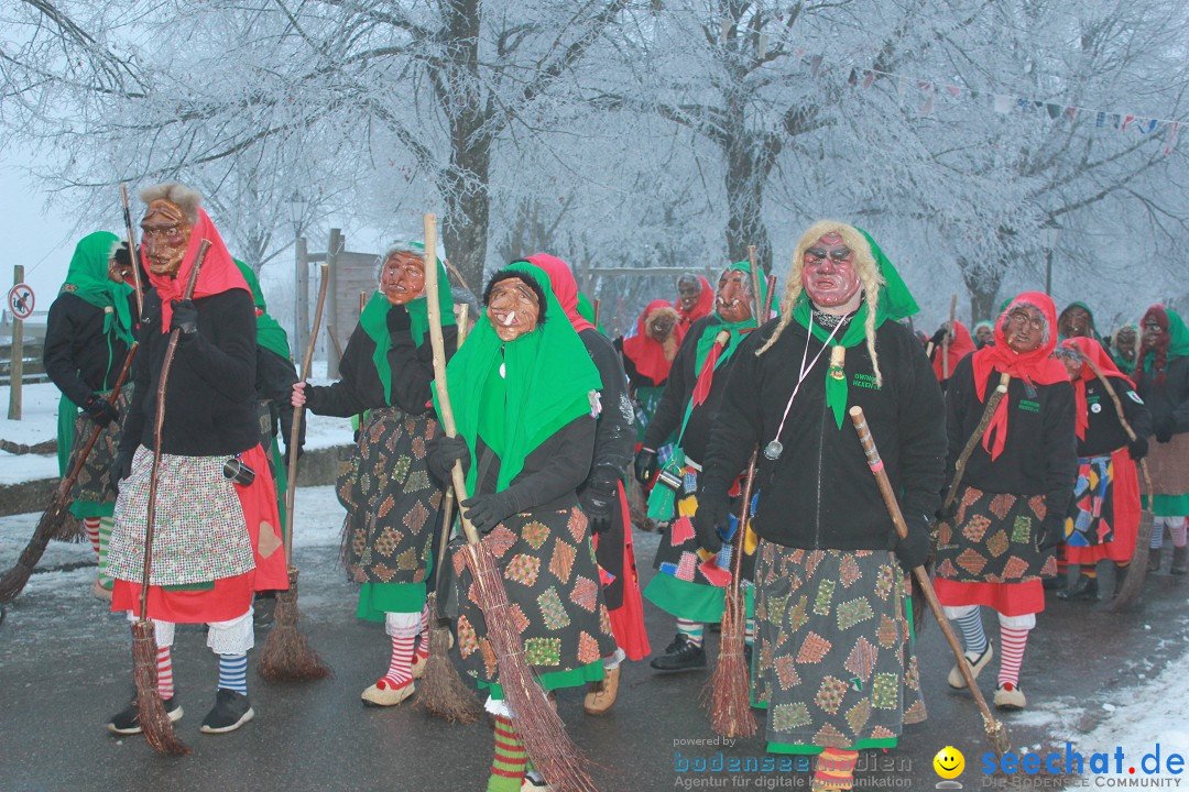 HoTaBo-Narro Umzug und Party: Hohenbodman am Bodensee, 21.01.2017