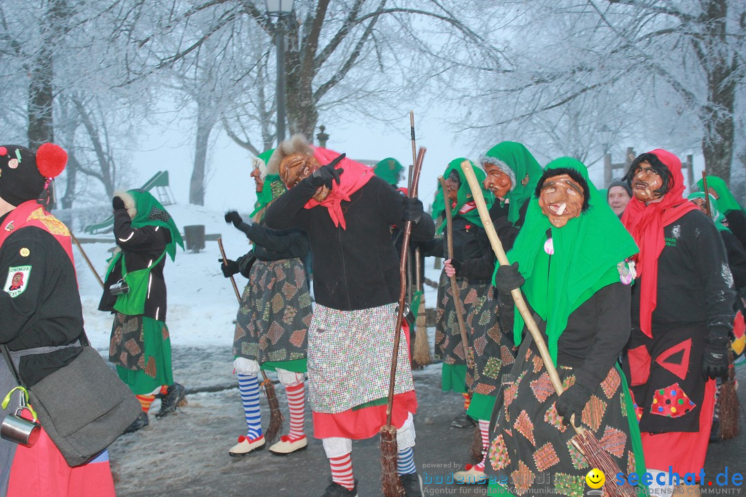 HoTaBo-Narro Umzug und Party: Hohenbodman am Bodensee, 21.01.2017