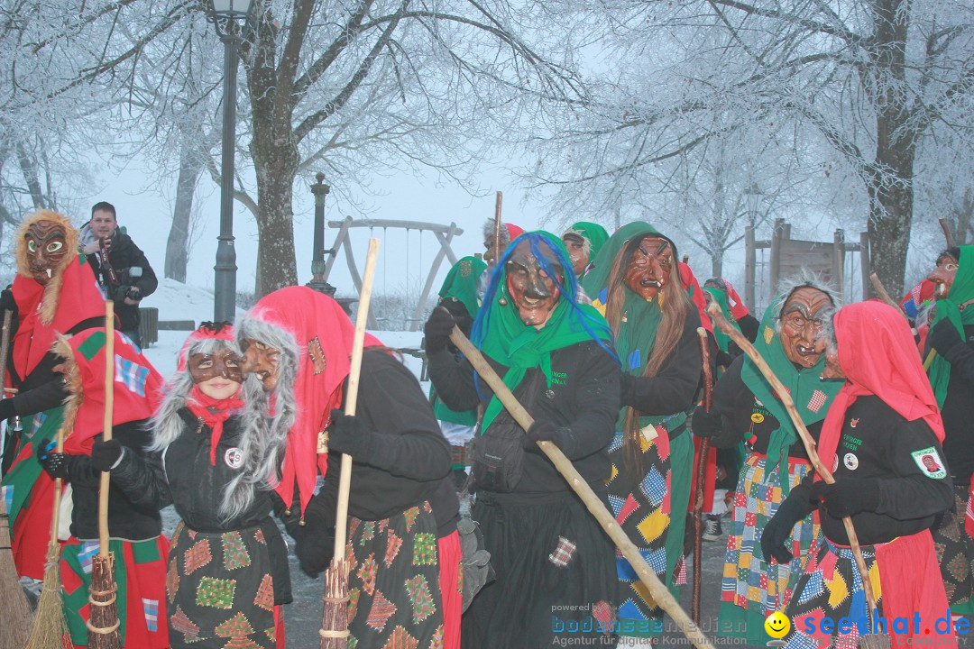 HoTaBo-Narro Umzug und Party: Hohenbodman am Bodensee, 21.01.2017